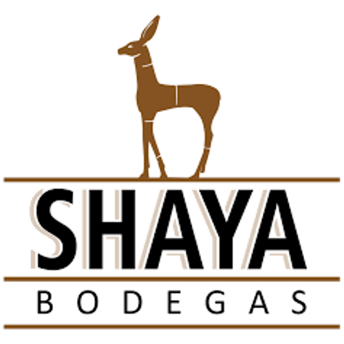 Shaya