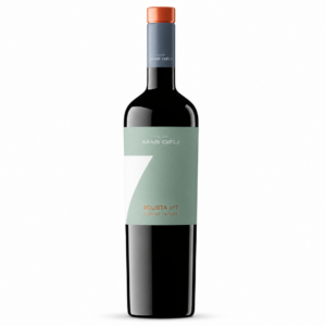 Solista nº7 Subirat Parent
